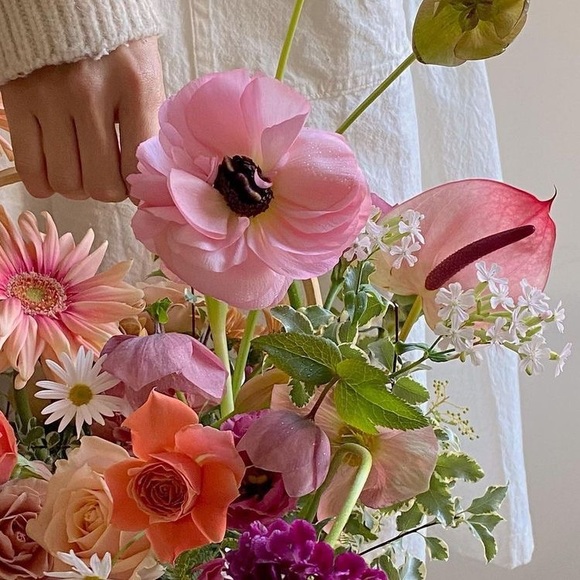 Meet your Posher, Maria - Picture 1 of 1